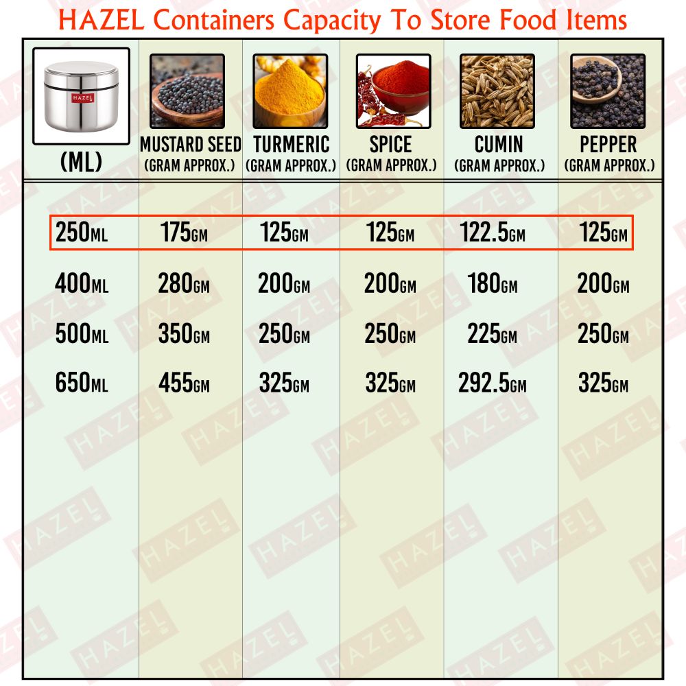 HAZEL Stainless Steel Mini Container Heavy Gauge Premium Airtight Dabbi Dabba Set of 1, 250 ML, Silver