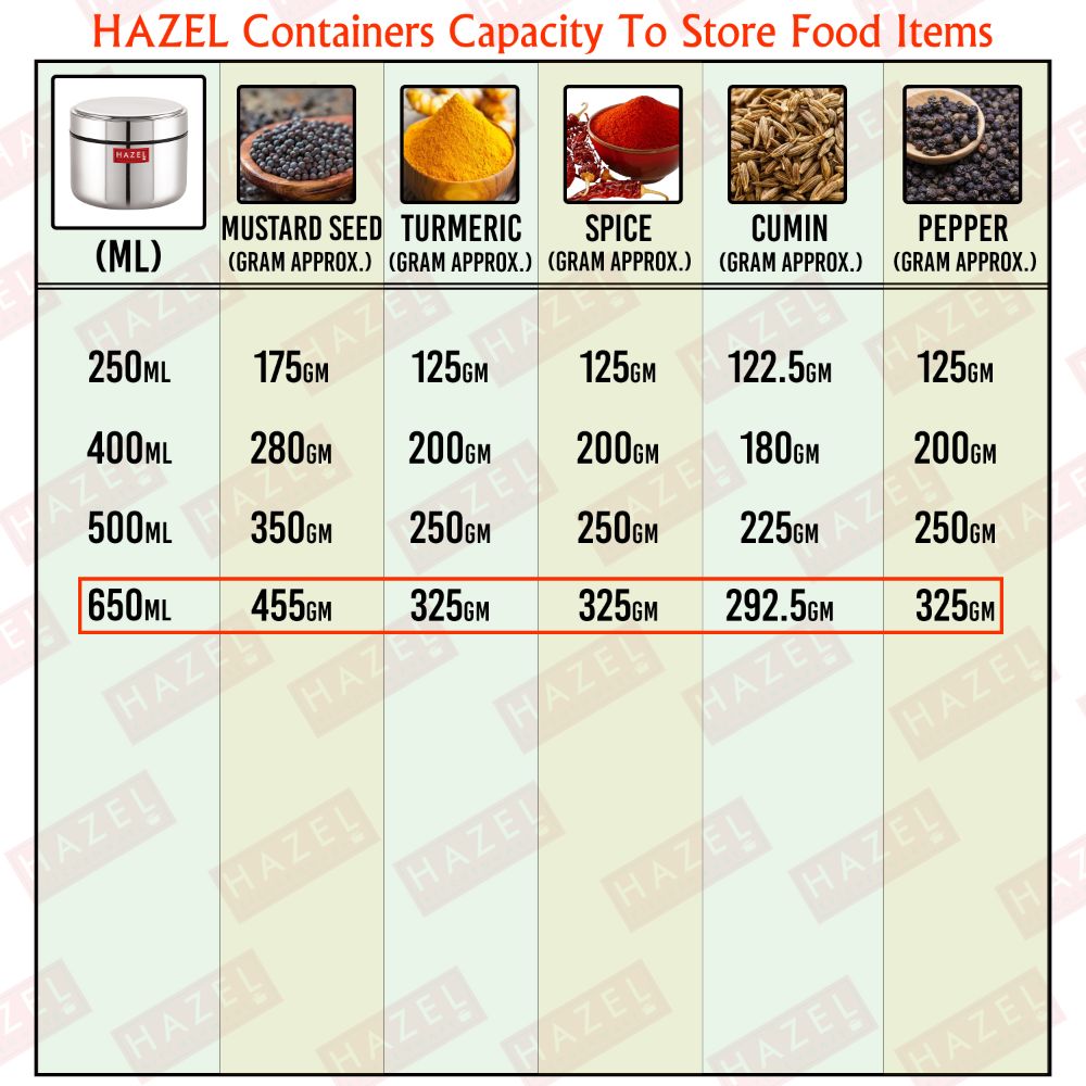 HAZEL Stainless Steel Mini Container Heavy Gauge Premium Airtight Dabbi Dabba Set of 1, 650 ML, Silver