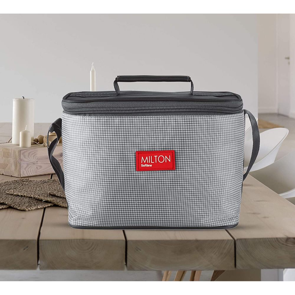 Milton DELICIOUS COMBO Stainless Steel Lunch Pack With Bag, Grey