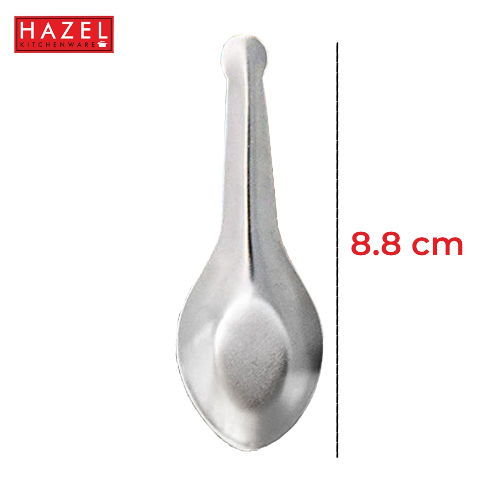 HAZEL Stainless Steel Small Masala Spoon | Mini Spoon Perfect for Spices and Condiments, Set of 6