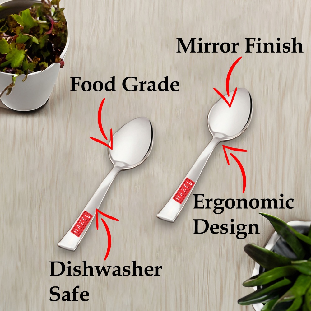 HAZEL Stainless Steel Small spoons set of 24 | Baby Serving Spoon 