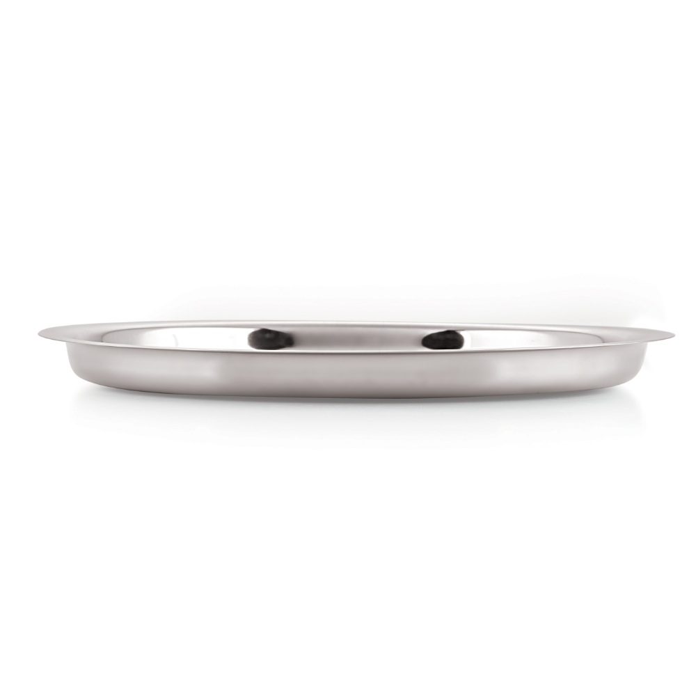 HAZEL Stainless Steel Plates Set | Premium Mirror Finish Thali Set Stainless Steel | Heavy Gauge Steel Plates Set For Dinner & Lunch Set of 4, 25 cm