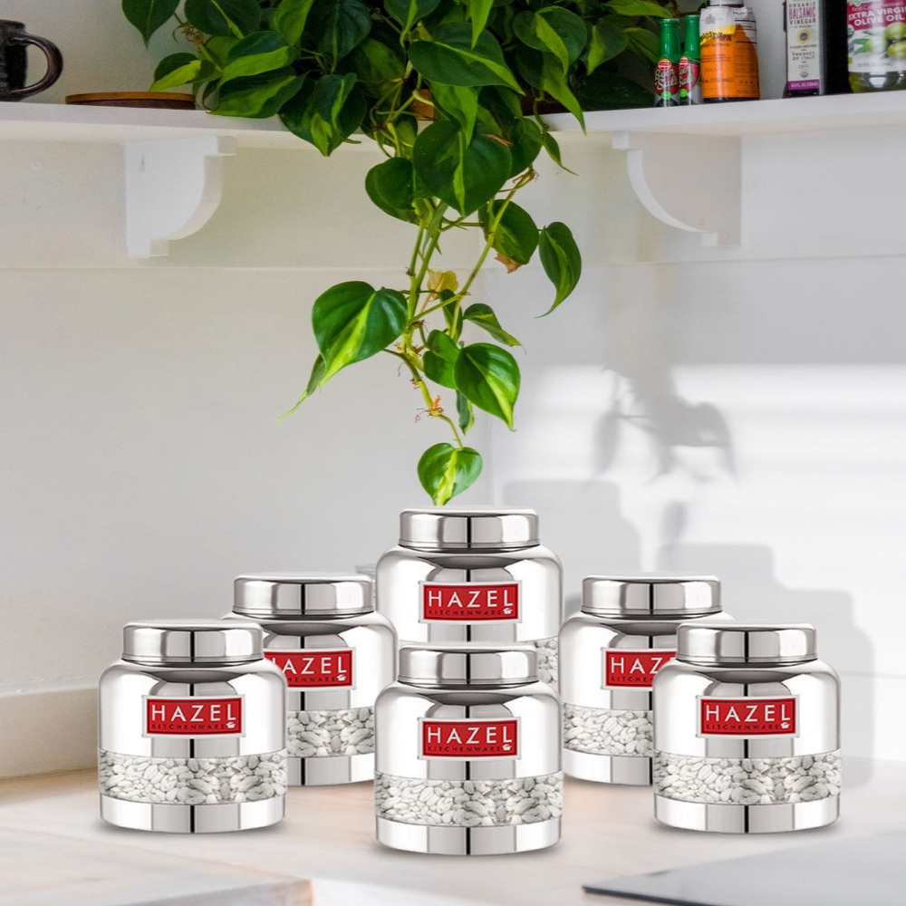HAZEL Stainless Steel Container Set | Barni Shape See Through Container with Glossy Finish  |Transparent Multipurpose Storage Box for Kitchen, 350 ML, Set of 6
