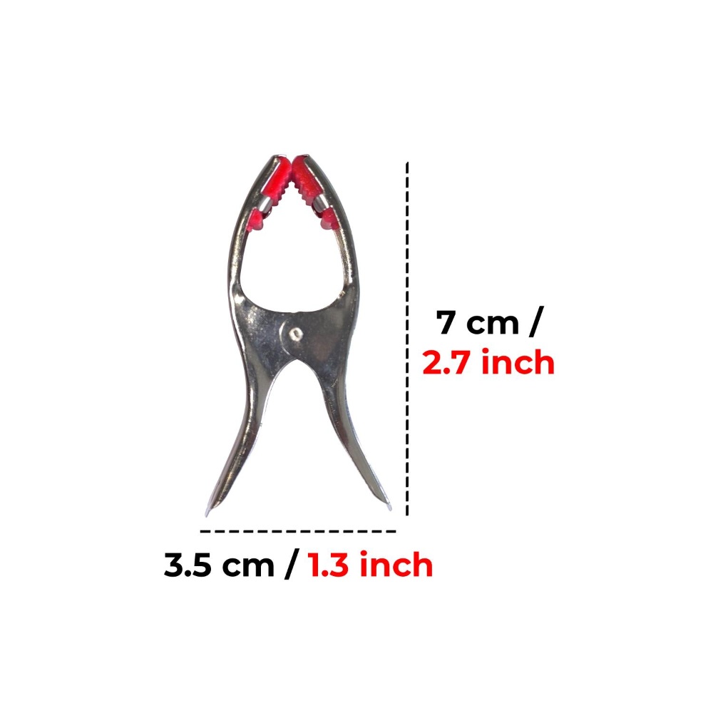 HAZEL Stainless SteelÂ Cloth Clips for Drying Clothes | Cloth Pins for DryingÂ Clothes, 12 pcs