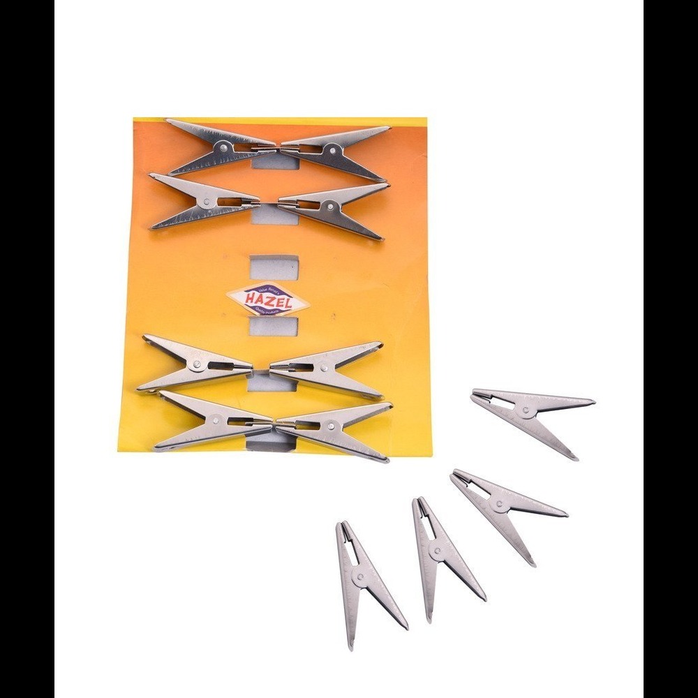 HAZEL Stainless Steel cloth Clip 12 pc, Silver