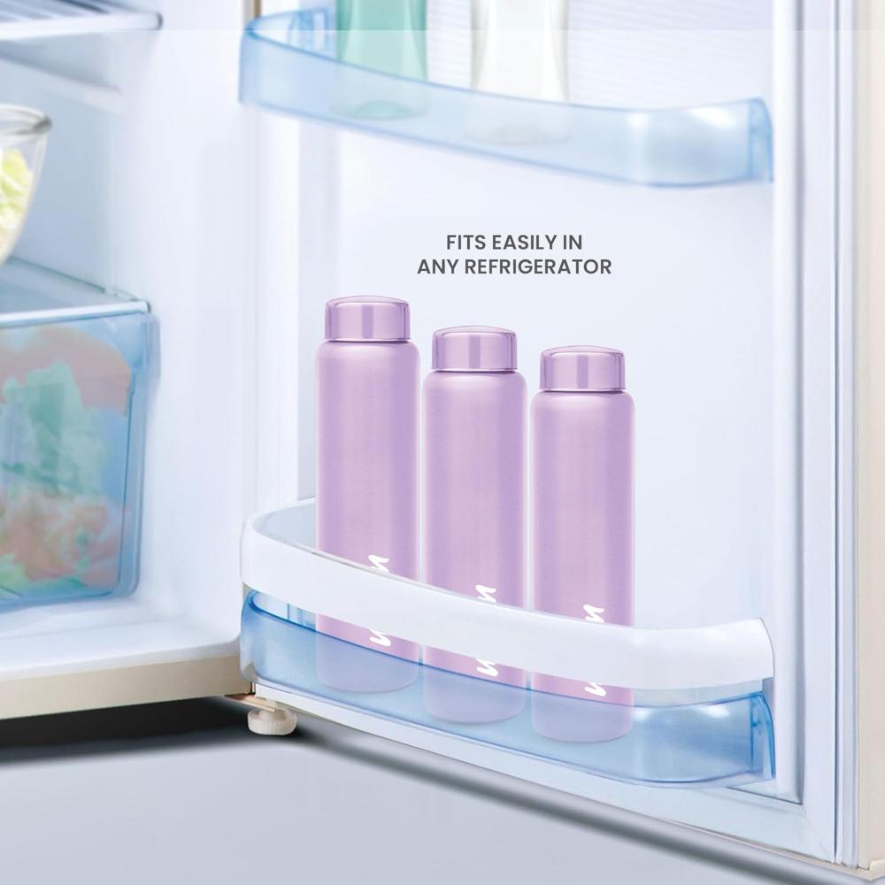 MILTON Aqua 1000 Stainless Steel Water Bottle 950 ml, Single Walled, ISI Certified I Leak Proof Lid, Rust Proof I For School, Office, Gym I Purple
