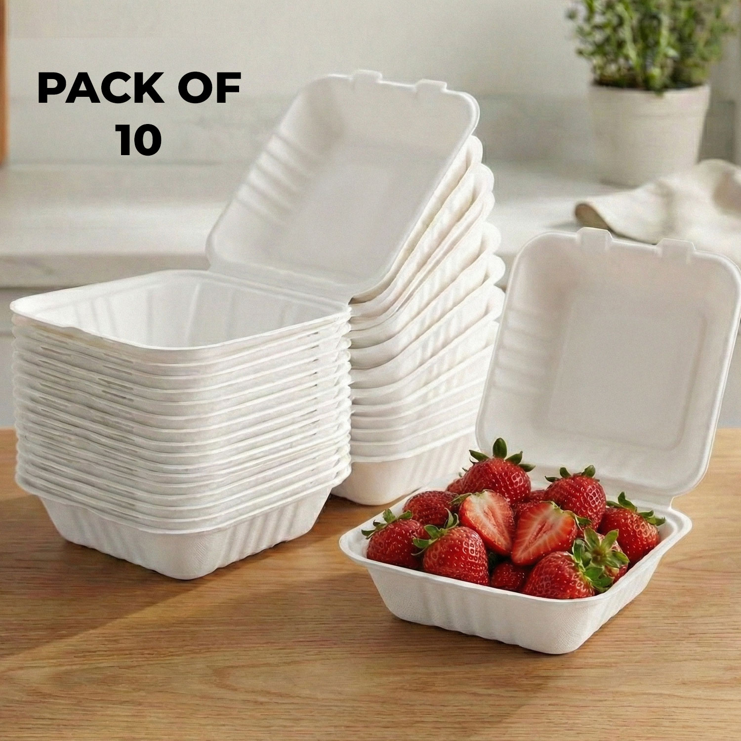 HAZEL Bento Cake Box | 100% Biodegradable Box for Mini Cakes, Lunch Cakes & Home Bakers | Pack of 10