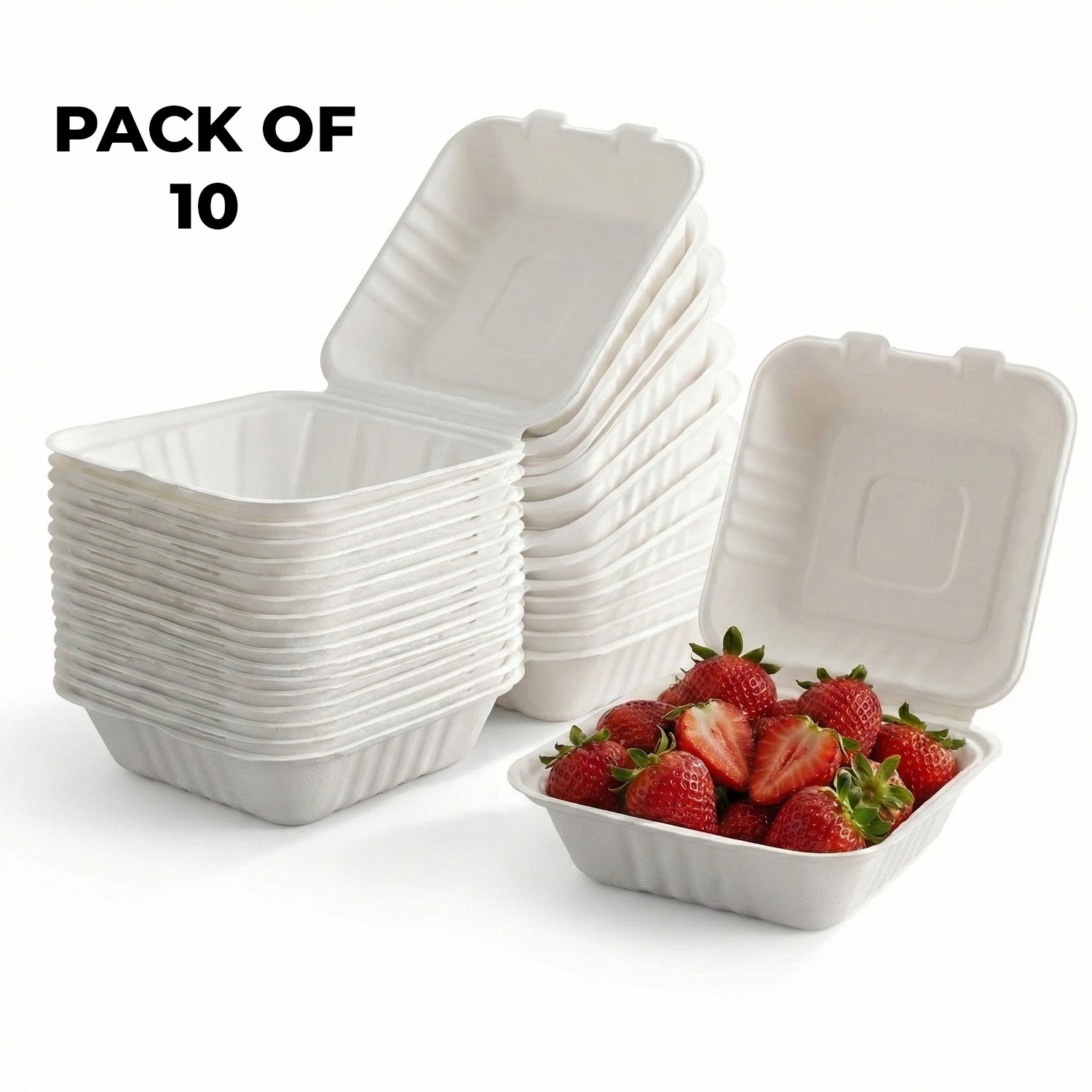 HAZEL Bento Cake Box | 100% Biodegradable Box for Mini Cakes, Lunch Cakes & Home Bakers | Pack of 10